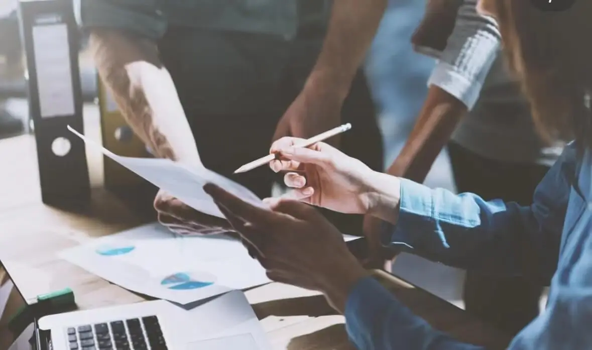 蝙蝠字笔顺怎么写，正确写法详解