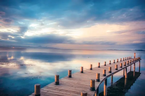 法律工作都包括什么