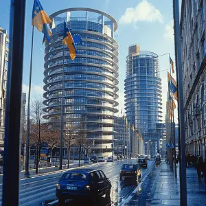 法律证书的全称叫什么