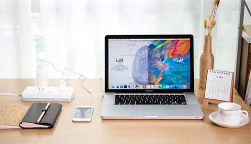 企业法律状态是什么