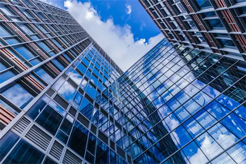 认可法律是什么意思