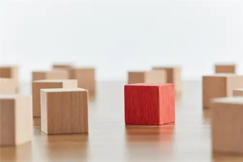 成蕾违反了什么法律